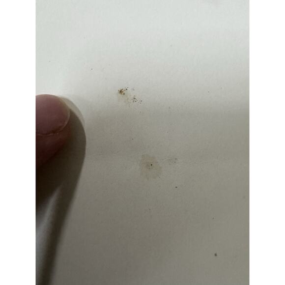 VTG San Diego Zoo Koala Poster Frye & Smith Studios 1960s Offset California READ - Picture 4 of 16